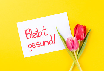 Obraz premium colorful tulips and yellow background with german text bleibt gesund, in english stay healthy
