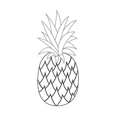 Pineapple. Doodle icon. Drawing by hand. Line art. Vector illustration.