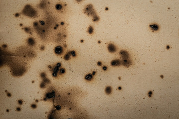 Burnt old piece of paper with small puncture holes