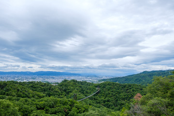 大きな吊り橋　星のブランコ　ほしだ園地