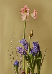 Hippeastrum (amarillis)  Fairytale and hyacinths, sprigs of willow