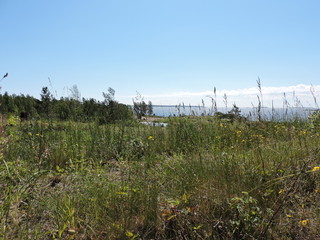 View of summer meadow and Baltic sea, Kotka, Finland
