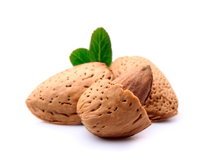 Almonds with leaves