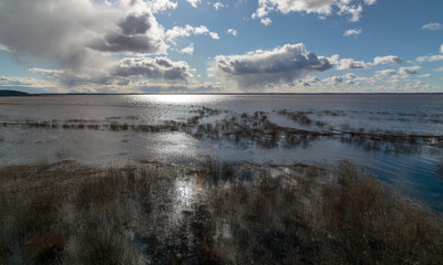 sunny landscape with a lake in the distance and dry reeds in the foreground