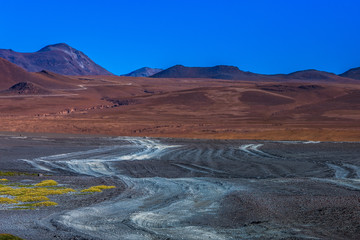 Fototapeta na wymiar Laguna Colorada, means Red Lake is a shallow salt lake in the southwest of the Altiplano of Bolivia