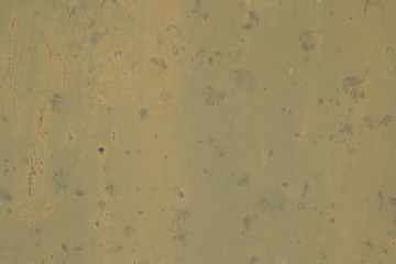 Old khaki background stained and stained, with small dots of rust. Texture vintage swamp color