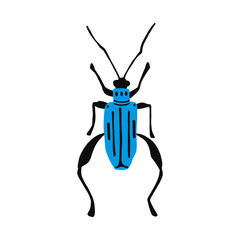 vector illustration of a hand drawn garden ground beetle .Flat design. insect isolated on a white background. It is suitable for children s books, postcards, fabrics, educational websites or apps