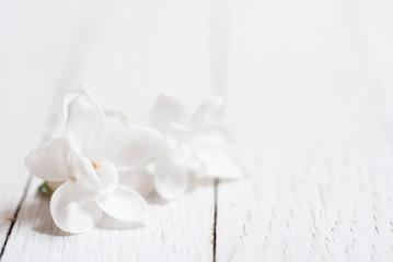 Obraz na płótnie Canvas White lilac