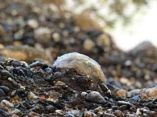 pebbles on the beach