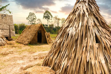 Fototapeta na wymiar Straw hut or local bungalow camp traditional agriculturist Thai style near rice farm field and forest tree landscape with beautiful sunset twilight sky for rest and relax