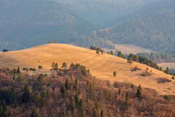 Pieniny - Carpathians Mountains