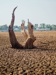 Global warming causes dry and cracked soil.