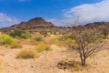 Landscape in Augrabies national park