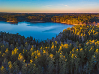 Obraz premium Top of the forest with lake in the evening light