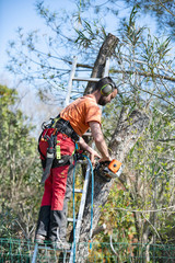 pruning a tree