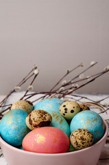 Easter colorful eggs in the plate and  willow branch on white background. Easter holiday postcard concept. Copy space for text.