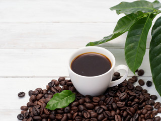 Roasted coffee beans with coffee leaves.