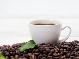 Roasted coffee beans with coffee leaves.