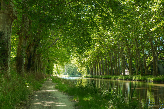 Canal Du Midi