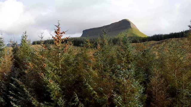 sunny benbulbin mountain behind pine forest in ireland
