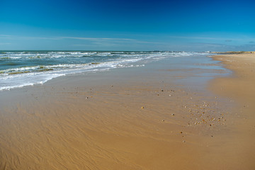 the ocean by withdrawing leaves drawings on the sand