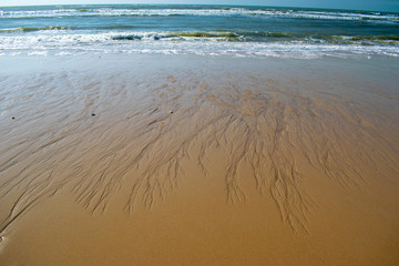 the ocean by withdrawing leaves drawings on the sand