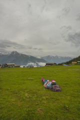Kackar Mountains National Park ( Sal Plateau ) Rize, Turkey.