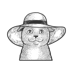 cat in a wide brimmed hat sketch engraving vector illustration. T-shirt apparel print design. Scratch board imitation. Black and white hand drawn image.