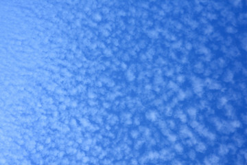 Cirrocumulus clouds on blue background