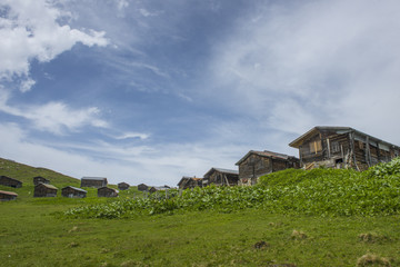Kackar Mountains National Park ( Sal Plateau ) Rize, Turkey.