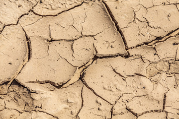 arid land