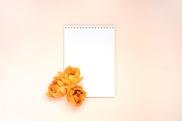 White notebook on the beige background with beautiful yellow flowers
