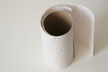 toilet paper roll close up