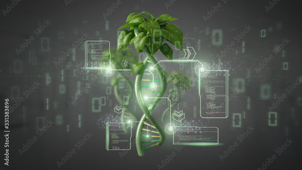 Canvas Prints dna growing as a plant - 3d rendering