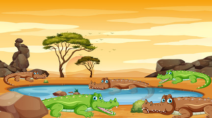 Scene with crocodiles in the pond