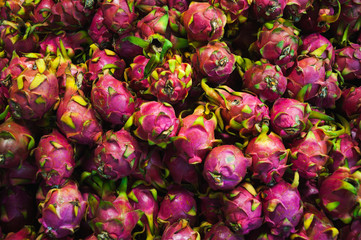 Plenty of fresh pitahaya fruits on a counter in a market