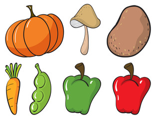 Large set of fruits and vegetables on white background