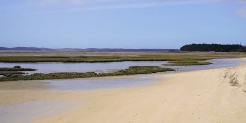 low tide at Ares basin in Arcachon Bay Gironde department France