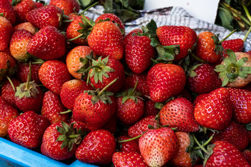Red strawberries at the market. Summer