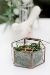 Wedding rings in glass box