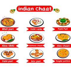 Indian chaat and indian street Food Vector