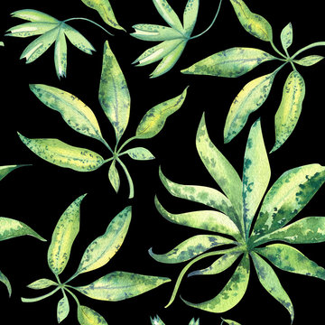 Seamless watercolor pattern of tropic leaves on black background