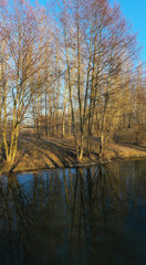Fototapeta na wymiar Spring landscape trees without leaves and their reflection in the river. Leafless Trees and River