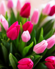 Obraz na płótnie Canvas Beautiful tulips bouquet