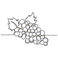 A bunch of grapes berries drawn in one line by hand