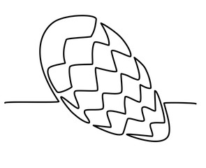 hand-drawn pine cone in one continuous line