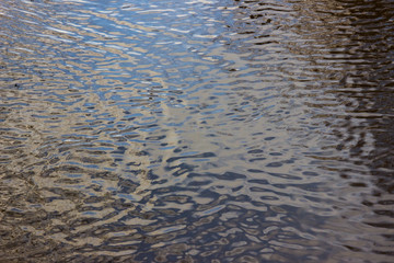 Water of a calm forest river close-up.