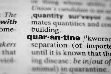 Fototapeta premium Definition of the word quarantine, selective focus