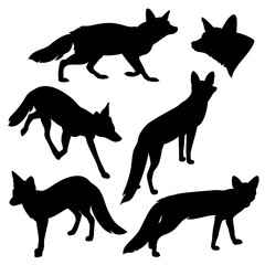 set of detailed red fox silhouettes - running and standing animal black and white vector outline design