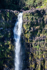 Obraz premium Vertical view of Akaka Falls in Bigh Island Hawaii